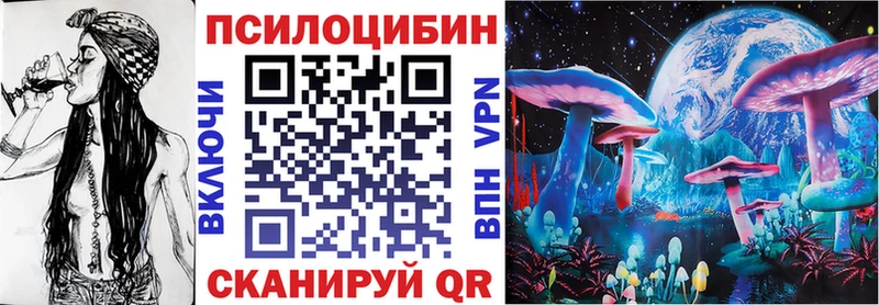 Псилоцибиновые грибы Psilocybe  Горбатов 
